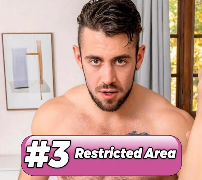 no3 best gay videos VRPDL