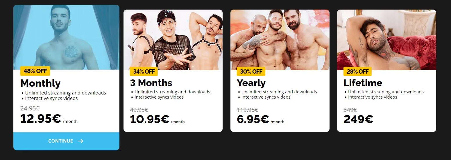 virtual real gay pricing